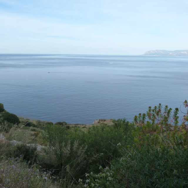 Riserva dello Zingaro